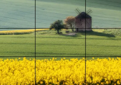 Źródło: https://snapmedia.pl/trojpodzial-w-fotografii-klucz-do-lepszych-zdjec-wyjasnienie