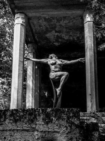 Fotograf prezentuje najnowsze zdjęcie z portfolio voolpes