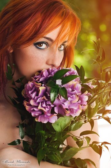 Zdjęcie z portfolio marek (Fotograf), przedstawiające kwiaty, słońce