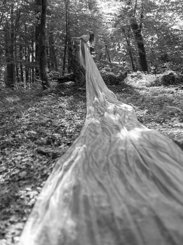 Zdjęcie z portfolio voolpes (Fotograf)